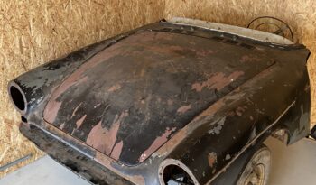 Sunbeam Tiger Tiger full