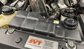 Ford Mustang SVT Cobra Cabriolet full