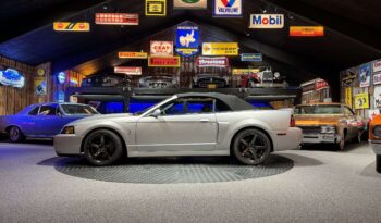 Ford Mustang SVT Cobra Cabriolet full