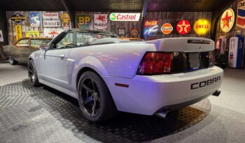 Ford Mustang SVT Cobra Cabriolet full
