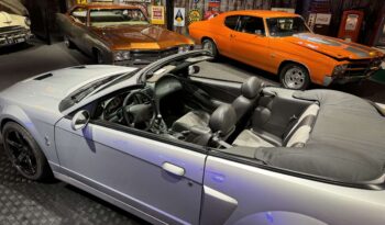 Ford Mustang SVT Cobra Cabriolet full