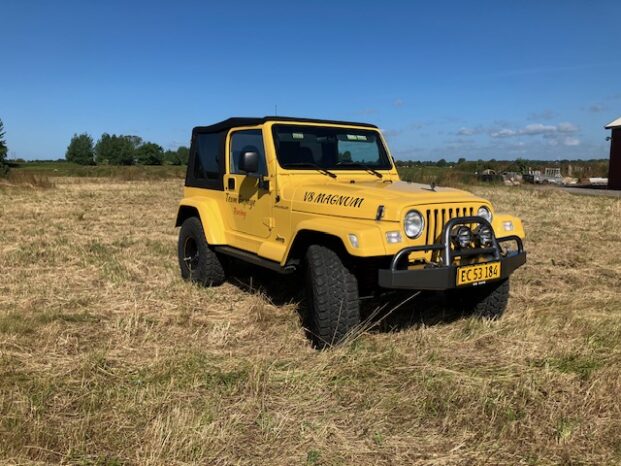 Jeep Wrangler TJ V8 5.9L full