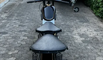 Nimbus 1955 full