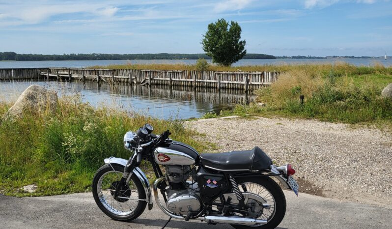 BSA A65 Thunderbolt 650 full