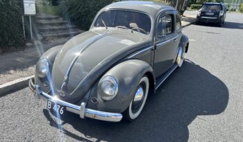 VW Bobbel 1200 OVALER full