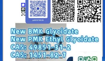 Motor Beeline 49851‑31‑2 full