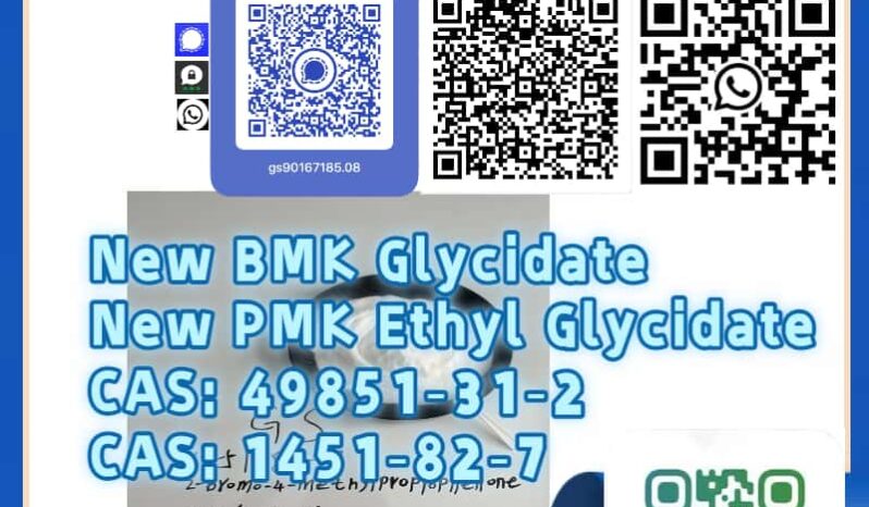 Motor Beeline 49851‑31‑2 full
