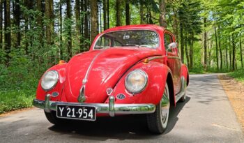 VW Bobbel 1200 oval full