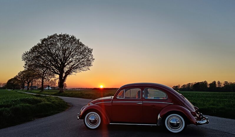 VW Bobbel 1200 oval full