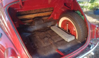Volvo PV 544 B18 full