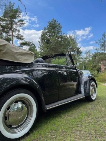 VW 1500 Bobbel Cabriolet full