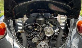VW 1500 Bobbel Cabriolet full