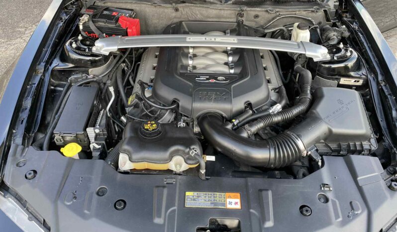 Ford Mustang ROUSH full