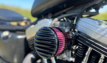 Øvrige / Others Øvrige Harley-Davidson XLH 883 Sportster full