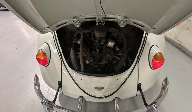 VW Bobbel 113 1,2 DeLuxe 34 HK full