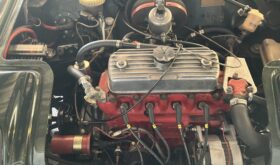 Marcos Mantula Mini Marcos