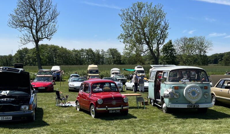 Fiat 600 D full