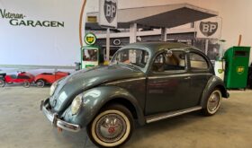 VW Bobbel Oval 1954