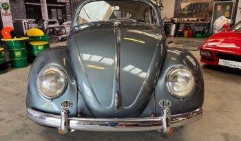 VW Bobbel Oval 1954 full
