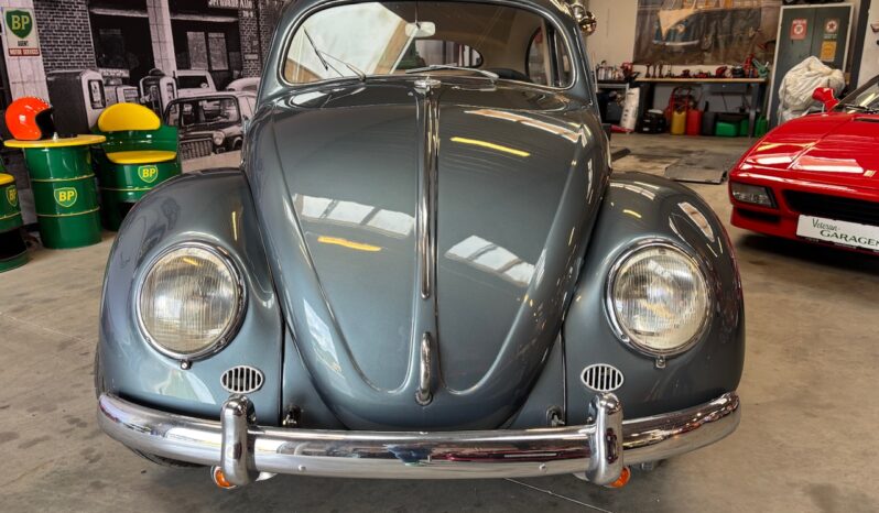 VW Bobbel Oval 1954 full