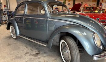 VW Bobbel Oval 1954 full