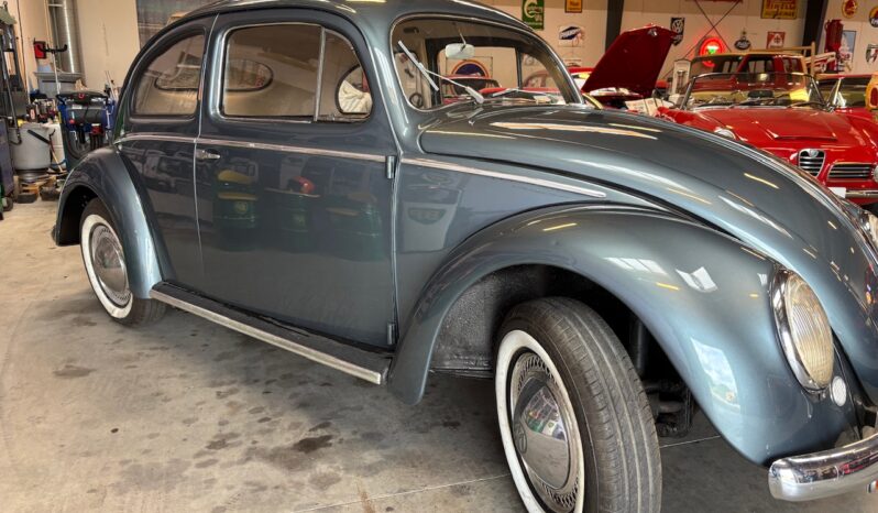VW Bobbel Oval 1954 full