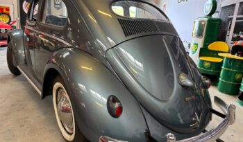 VW Bobbel Oval 1954 full