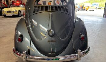 VW Bobbel Oval 1954 full