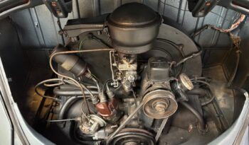 VW Bobbel Oval 1954 full