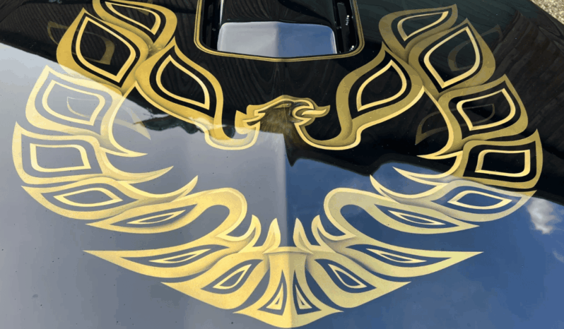 Pontiac Trans Am 6,6 V8 Targa aut. full