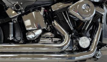 Harley Davidson FXST Softail 1340 EVO full