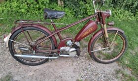 Wooler 50cc
