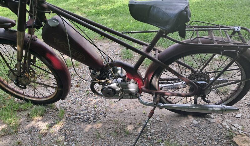 Wooler 50cc full