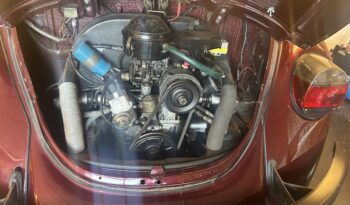 VW Bobbel 1303 full