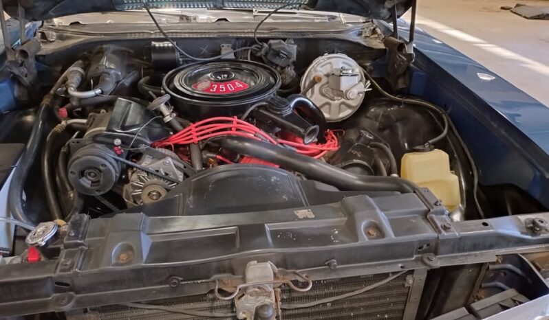 Buick Skylark Custom full