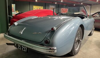 Austin Øvrige Healey 100/4 2,6 full