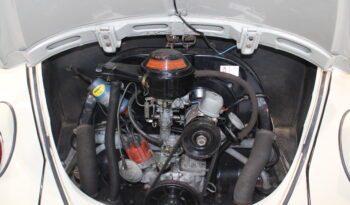 VW Bobbel 113 1300 full