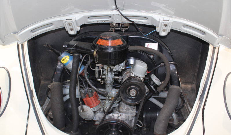 VW Bobbel 113 1300 full