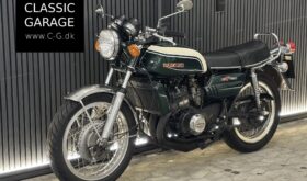 Suzuki GT 750 “Vandbøffel”
