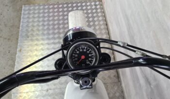 Puch Pioneer 50cc full