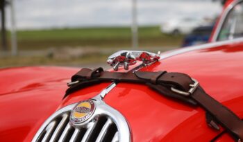 Jaguar XK XK140 DHC full