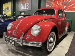 VW Bobbel 1200 oval full