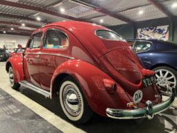 VW Bobbel 1200 oval full