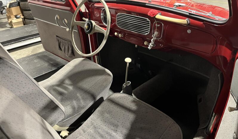 VW Bobbel 1200 oval full