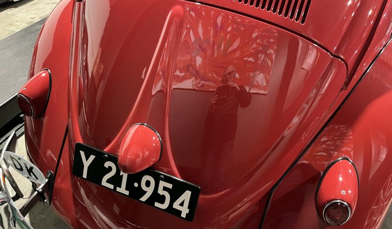 VW Bobbel 1200 oval full