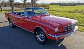 Ford Mustang V8 4,7 Convertible