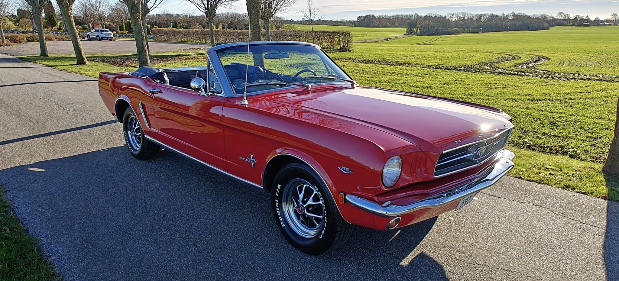Ford Mustang V8 4,7 Convertible