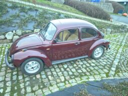 VW Bobbel 1303 full