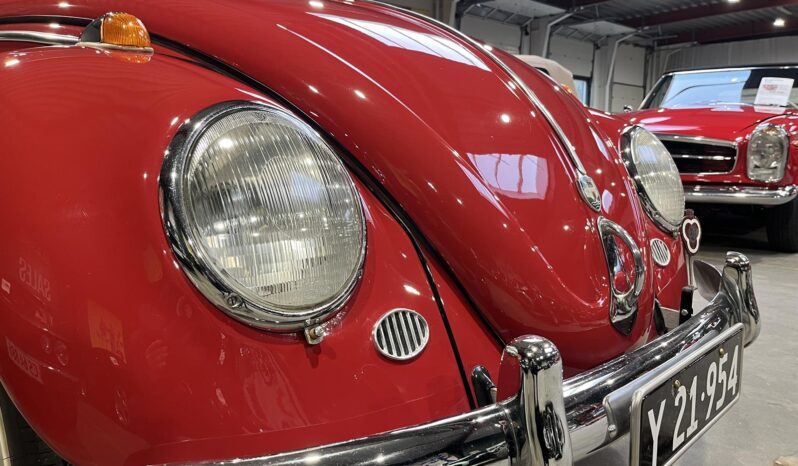 VW Bobbel 1200 oval full