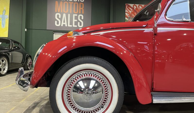 VW Bobbel 1200 oval full